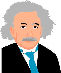 sme-einstein
